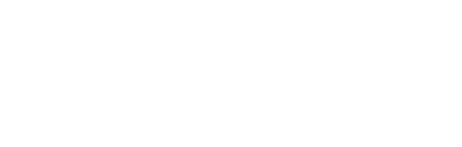 La estrategia que marca nuestro camino The strategy that leads us 