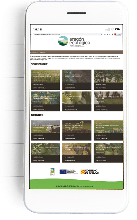 Premium mobile phone screen mockup template