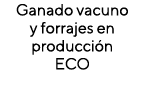 Ganado vacuno y forrajes en producción ECO