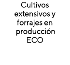 Cultivos extensivos y forrajes en producción ECO
