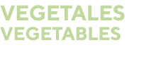 Vegetales Vegetables