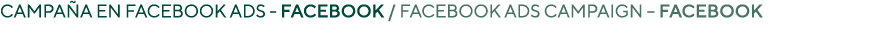 Campaña en Facebook Ads - Facebook   Facebook Ads campaign   Facebook