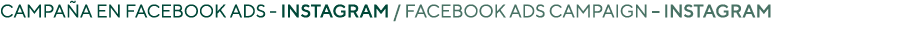 Campaña en Facebook Ads - Instagram   Facebook Ads campaign   Instagram