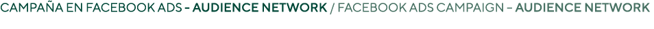 Campaña en Facebook Ads - Audience network   Facebook Ads campaign   Audience network