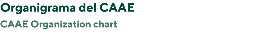 Organigrama del CAAE CAAE Organization chart