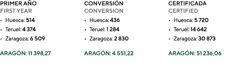 PRIMER AÑO FIRST YEAR Huesca: 514 Teruel: 4 374 Zaragoza: 6 509 ARAGÓN: 11 398,27 CONVERSIÓN CONVERSION Huesca: 436 T   