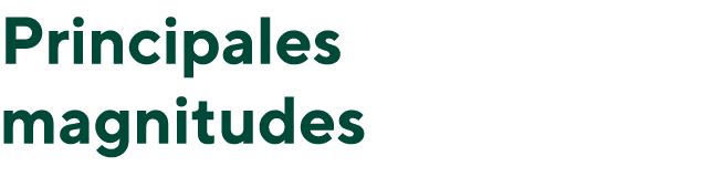 Principales magnitudes