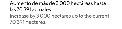Aumento de más de 3 000 hectáreas hasta las 70 391 actuales  Increase by 3 000 hectares up to the current 70 391 hect   
