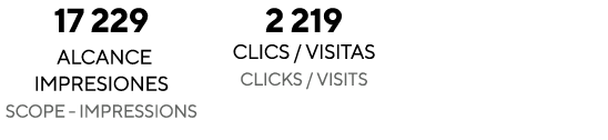 17 229 alcance impresiones Scope - Impressions 2 219 CLICS   VISITAS Clicks   visits  