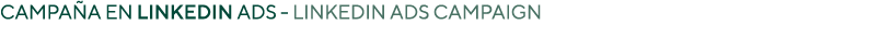 Campaña en linkedin ads - linkedin Ads campaign 