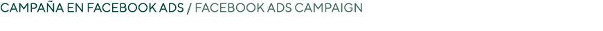 Campaña en Facebook Ads   Facebook Ads campaign 