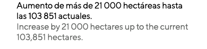 Aumento de más de 21 000 hectáreas hasta las 103 851 actuales  Increase by 21 000 hectares up to the current 103,851    