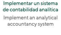 Implementar un sistema de contabilidad analítica Implement an analytical accountancy system 