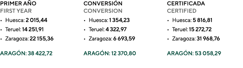 PRIMER AÑO FIRST YEAR Huesca: 2 015,44 Teruel: 14 251,91 Zaragoza: 22 155,36 ARAGÓN: 38 422,72 CONVERSIÓN CONVERSION    