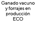 Ganado vacuno y forrajes en producción ECO