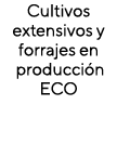 Cultivos extensivos y forrajes en producción ECO