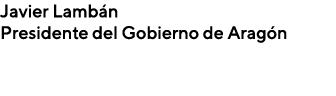 Javier Lamb n Presidente del Gobierno de Arag n 