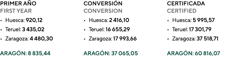 PRIMER A O FIRST YEAR • Huesca: 920,12 • Teruel: 3 435,02 • Zaragoza: 4 480,30 ARAG N: 8 835,44 CONVERSI N CONVERSION...