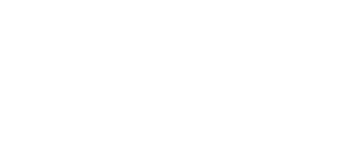 An lisis de la trayectoria de un plan estrat gico marcado Analysis of the trajectory of a defined strategic plan