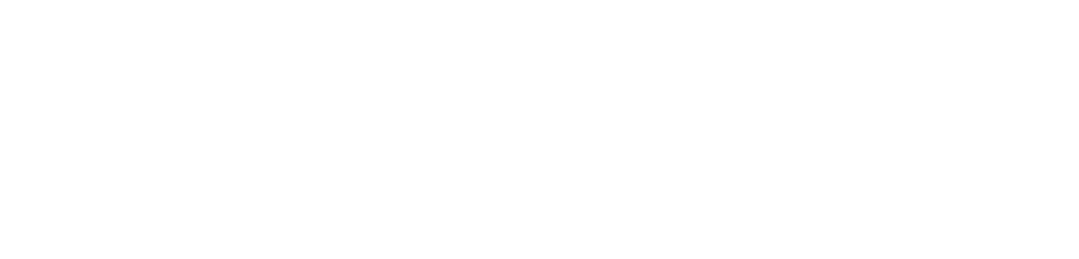 Digitalizaci n de los servicios / Innovaci n Digitalisation of services / Innovation