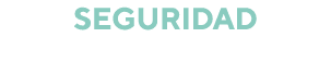 SEGURIDAD