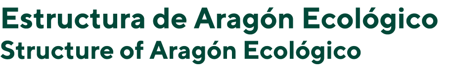 Estructura de Arag n Ecol gico Structure of Arag n Ecol gico