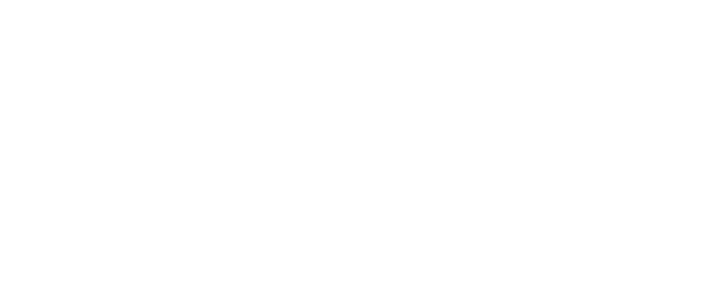 memoria de actividad arag n ecol gico