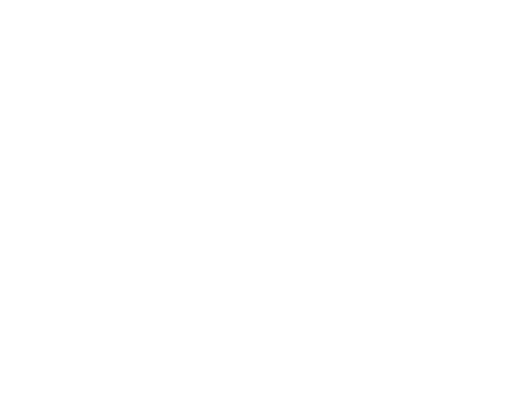 Digitalizaci n de los procesos y optimizaci n del servicio Process digitalisation and service optimisation
