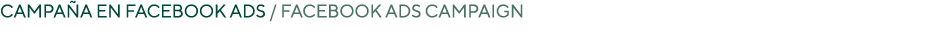 CAMPA A EN FACEBOOK ADS / FACEBOOK ADS CAMPAIGN