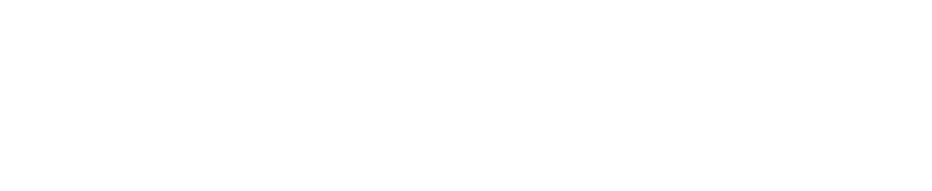 Memoria de actividad Arag n ecol gico