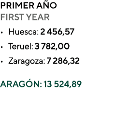 PRIMER A O FIRST YEAR • Huesca: 2 456,57 • Teruel: 3 782,00 • Zaragoza: 7 286,32 ARAG N: 13 524,89 