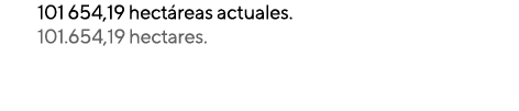 101 654,19 hect reas actuales. 101.654,19 hectares.