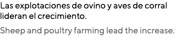 Las explotaciones de ovino y aves de corral lideran el crecimiento. Sheep and poultry farming lead the increase. 