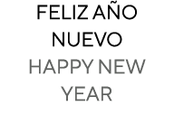 Feliz a o nuevo happy new year