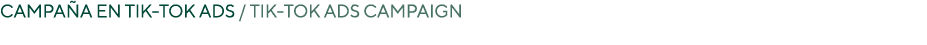 CAMPA A EN tik tok ADS / tik tok aDS CAMPAIGN